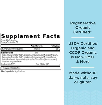 Ancient Nutrition Regenerative Organic Certified Focused Brain Capsules, Made with Ginkgo Leaf, Lion's Mane to Help Reduce Stress, Gluten Free, Paleo and Keto Friendly, 90 Count
