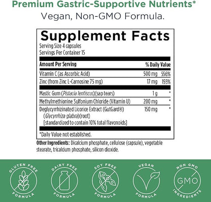 Designs for Health GastroMend HP - Mastic Gum, Zinc, L-Carnosine, Deglycyrrhizinated Licorice Gut Health Supplements - May Support Gastric Health, Occasional Bloating or Upset Stomach (60 Capsules)
