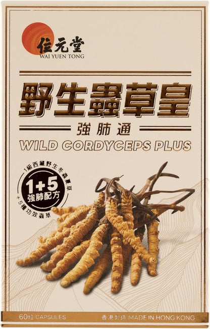 Wild Cordyceps Plus – Tibetan Wild Cordyceps & 5 Cultivated Cordyceps for Immune, Energy & Lung Support – 60 Capsules