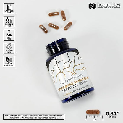 Nootropics Depot Lions Mane Mushroom Capsules | 8:1 Whole Fruiting Body Dual Extract | 500mg | 60 Count | Hericium erinaceus
