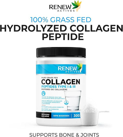 Renew Actives Hydrolyzed Collagen Peptides Powder 10G per Serving – Premium Grass-Fed Collagen for Skin, Joints & Hair – 9.4g Protein – Supports Collagen Formation & Muscle Recovery – Made in Canada