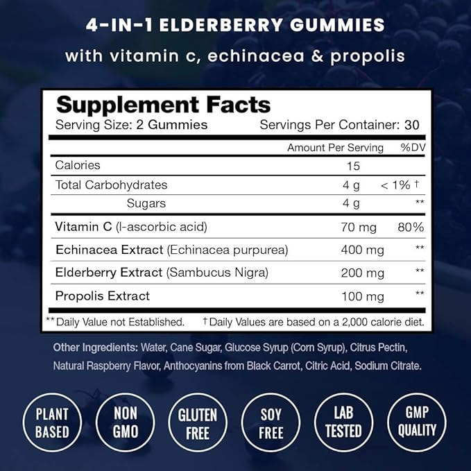 NutraChamps Vitamin B12 Gummies and Elderberry Gummies Bundle
