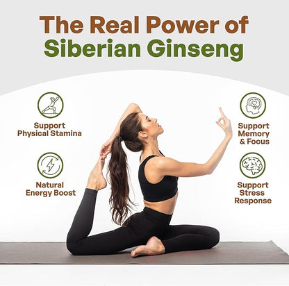 Go Nutra Siberian Ginseng Powder 4:1 Extract 4X Times Stronger Non-GMO 1lb (16 oz) Eleuthero Root