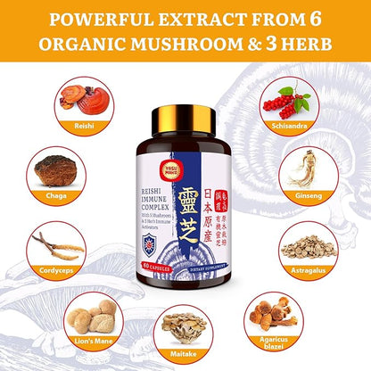 Japanese Reishi Mushroom Complex Supplement 1500mg - Reishi,Chaga,Cordyceps,Lion's Mane,Maitake,Agaricus Mushrooms Extract & 3 Herb,Organic Mushroom Capsules for Immune,Brain,Energy (Pack of 2)