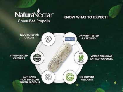 NaturaNectar - Green Bee Propolis Capsules - NSF Contents Certified Brazilian Green Propolis - Gluten-Free Propolis Supplements with Flavonoids - Naturally Sourced Through Ethical Beekeeping (60pcs.)