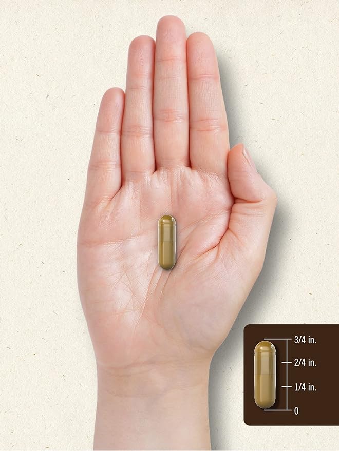 Carlyle Bee Propolis Capsules 600mg | 150 Count | Extract Supplement | Non-GMO, Gluten Free
