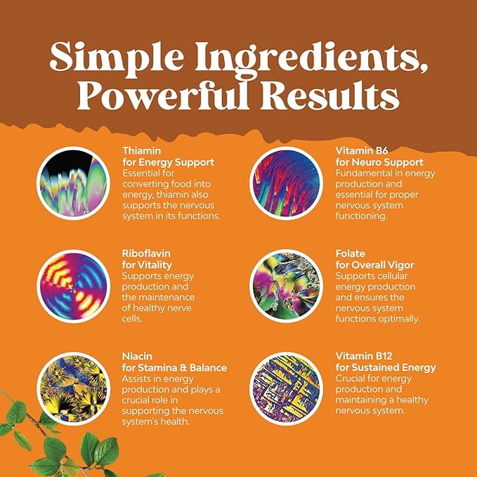 Bundle of Nootropic Memory Supplement for Brain Support and Vitamin B Complex Adult Multivitamin - Vitamin B 12 Bacopa Monnieri Rhodiola Rosea DMAE - Natural Energy Supplement with Active B Complex