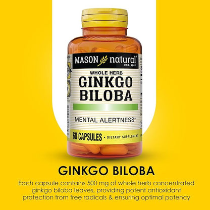 Mason Natural Ginkgo Biloba, 1 Month Supply, Helps to Improve Mental Alertness & Support Optimal Brain Function, 60 Capsules