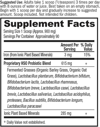 Garden of Life Whole Food Primal Defense HSO Probiotic Dietary Supplement for Digestive and Gut Health, Vegetarian Powder, 2.85 oz