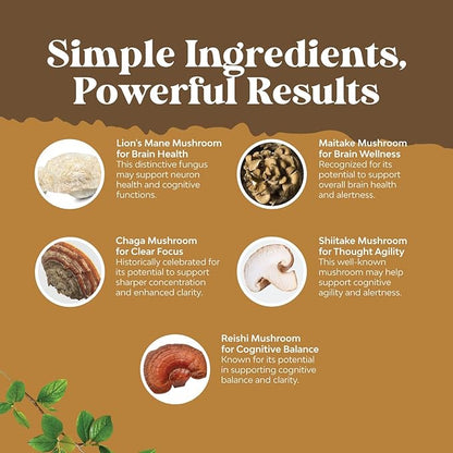 Advanced Lion's Mane Mushroom Supplement - Lions Mane Supplement Capsules with Reishi, Chaga , Maitake & Shiitake for Brain Health, Memory Support & Focus - Nootropic for Mental Clarity - 120 Caps