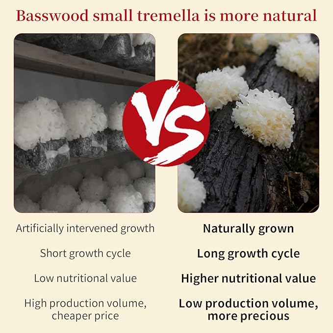 Wanhua Hall Dried White Snow Fungus Mushroom Whole White Wood Ear Mushroom for Cooking Tremella Fuciformis Mushroom 3.5oz/100g All Natural Vegan,Gluten-Free,No Additive 银耳 椴耳 雪耳 去根椴木小银耳