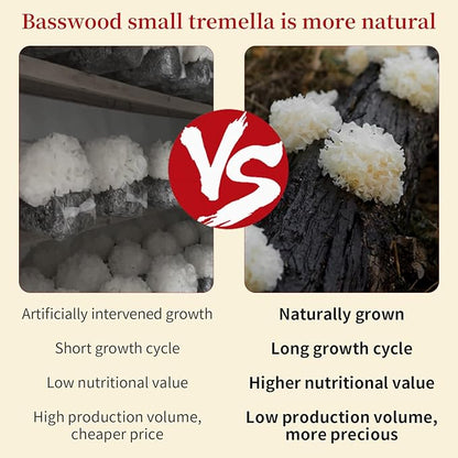 Wanhua Hall Dried White Snow Fungus Mushroom Whole White Wood Ear Mushroom for Cooking Tremella Fuciformis Mushroom 3.5oz/100g All Natural Vegan,Gluten-Free,No Additive 银耳 椴耳 雪耳 去根椴木小银耳