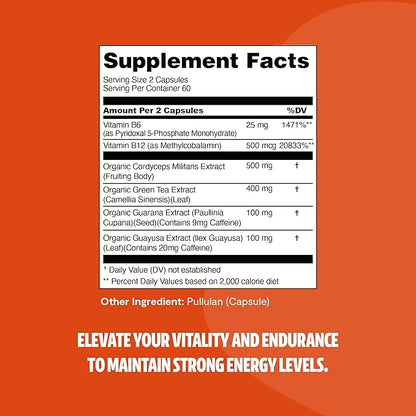 FreshCap 5-in-1 Energy Supplements, Energy Supplements for Women and Men, Energy Boosters for Fatigue, Energy Support, Cordyceps Extract, Ayurveda Cordyceps Mushroom Blend Capsules (120 Capsules)