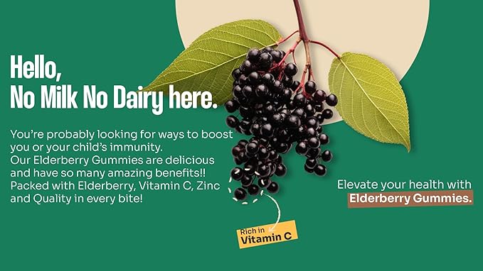 Organic Elderberry Gummies with Zinc and Vitamin C | Immune Boosting Sambucus Elderberry Rich in Antioxidants | Plant Based, Gluten Free, 60 Vegan Gummies