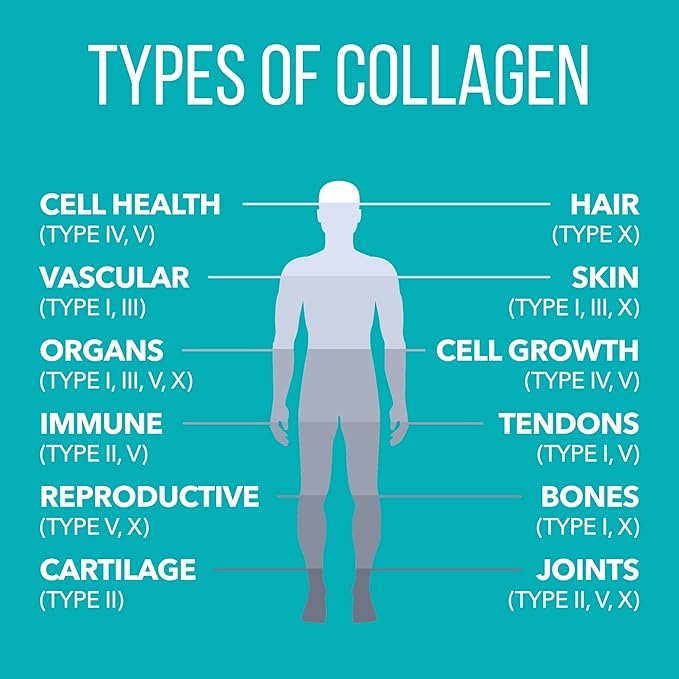 Natures Plus Collagen Peptides - 0.65 lbs Powder, Pack of 2 - Hair, Skin, Nail & Joint Health, Immune System Support - Non-GMO, Gluten Free - Up to 56 Total Servings