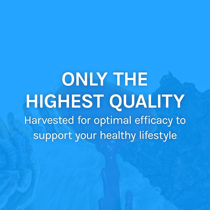 Host Defense Breathe* Extract - Immune & Respiratory Support Mushroom Liquid Supplement - Herbal Lung Health Supplement with Chaga, Reishi & Cordyceps - 1 fl oz (30 Servings)*