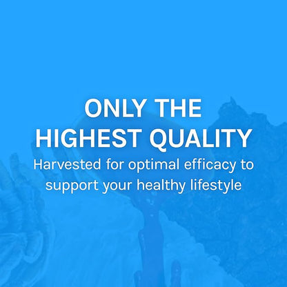 Host Defense Breathe* Extract - Immune & Respiratory Support Mushroom Liquid Supplement - Herbal Lung Health Supplement with Chaga, Reishi & Cordyceps - 1 fl oz (30 Servings)*