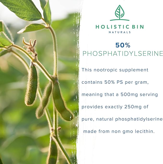 Holistic Bin Phosphatidylserine Powder | Phosphatidylserine Supplement Powder Extracted from Non GMO Soy Lecithin | Nootropics Brain Support Supplement for Memory & Focus