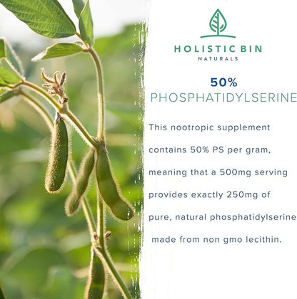 Holistic Bin Phosphatidylserine Powder | Phosphatidylserine Supplement Powder Extracted from Non GMO Soy Lecithin | Nootropics Brain Support Supplement for Memory & Focus