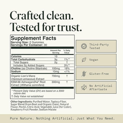 Memory Gummies with Lion’s Mane, Ashwagandha & Choline, Mushroom Gummies, Brain Supplements for Memory and Focus– Vegan, Gluten-Free, Sweet and Sour Flavor | 60 Gummies, 1 Month Supply