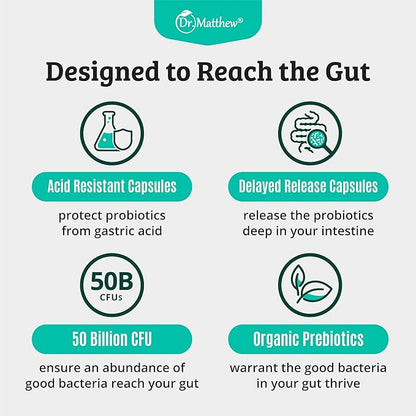 Prebiotics and Probiotics: Lactobacillus Gasseri, Lactobacillus Rhamnosus, Plantarum, Casei, Bifidobacterium longum, lactis, infantis. Probiotic Prebiotic, Pre and Probiotics for Digestive Health.