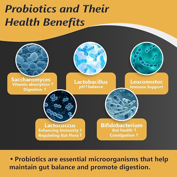 Probiotics with Prebiotics for Men and Women - 35 Strains Organic Probiotic 100 Billion CFU for Gut & Digestive Health, Vegan Acidophilus Probiotics Supplement, Non-GMO Raw Probiotic 120 Caps