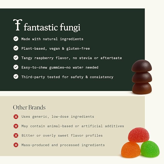 Memory Gummies with Lion’s Mane, Ashwagandha & Choline, Mushroom Gummies, Brain Supplements for Memory and Focus– Vegan, Gluten-Free, Sweet and Sour Flavor | 60 Gummies, 1 Month Supply