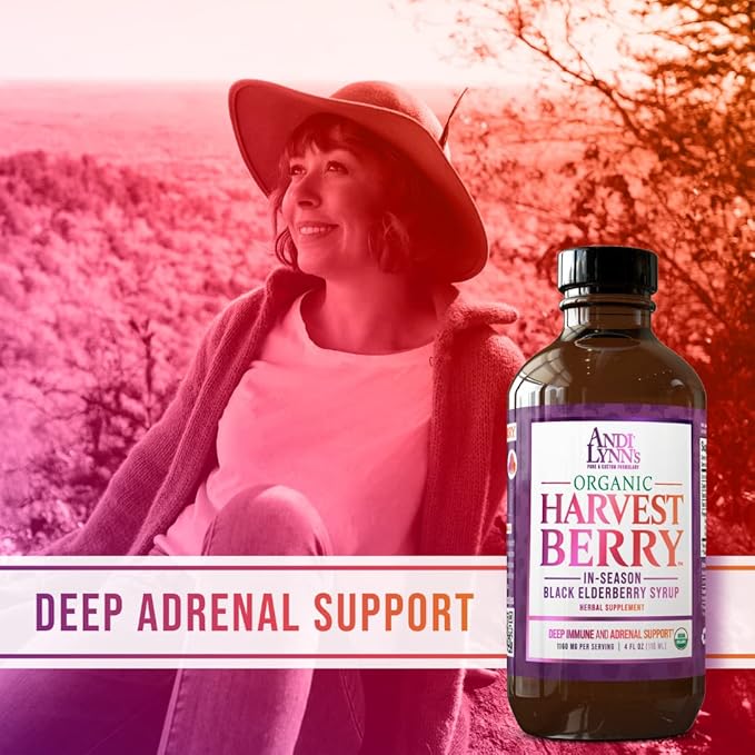 Andi Lynn's Organic Harvest Berry Syrup for Kids and Adults – Real Honey Elderberry Syrup for Immune Support - Therapeutic Formula - 4 Fl. Oz (Pack of 3)