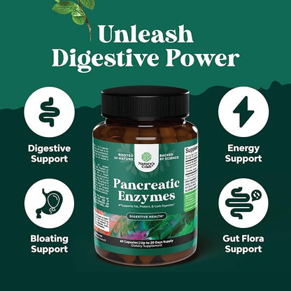 Pancreatin Digestive Enzymes Digestion for Gut Health - Pancreatic Digestive Enzymes for Women & Men with Protease, Lipase & Amylase - Bloating, Stomach Health, Fat, Carb & Protein - 60 Count