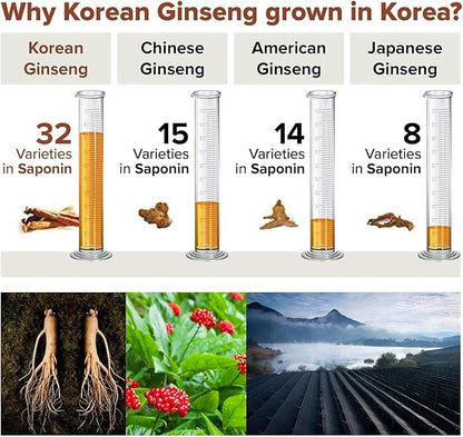 Korean Red Ginseng Capsules, Natural Energy Supplements The Root Original Enriched with Pure Ginsenosides Rg3 Premium Ginseng Supplement