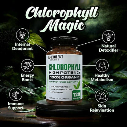 Benevolent Chlorophyll Capsules 350mg - 100% Natural + Ultra Chlorophyll 20x Potency Concentration for Energy Boost, Immune Support, Internal Deodorant, Skin Health, Non-GMO, 120 Capsules