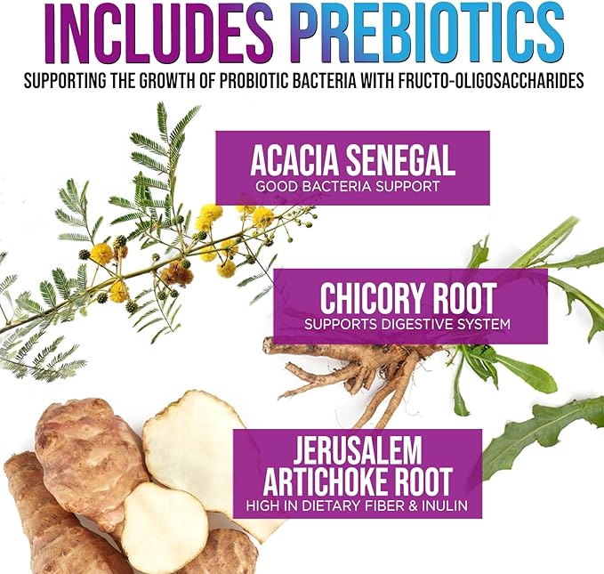 Daily Probiotic for Women & Men 60 Billion CFU 10 Strains Supplement Lactobacillus Probiotics - Digestive Gut & Immune Health Support - Supports Occasional Constipation, Gas & Bloating - 60 Capsules