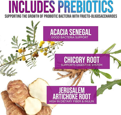 Daily Probiotic for Women & Men 60 Billion CFU 10 Strains Supplement Lactobacillus Probiotics - Digestive Gut & Immune Health Support - Supports Occasional Constipation, Gas & Bloating - 60 Capsules