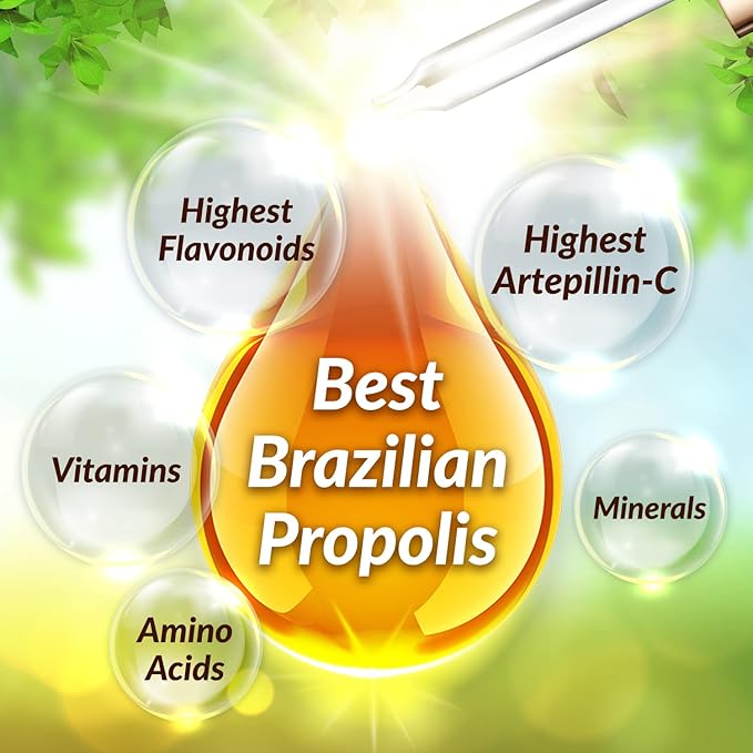 AFC Japan Brazilian Green Propolis Extract – Highest Artepilin C (>2.8% or >28mg/ml) & Flavonoids (>17mg/ml), Premium Quality, for Immune Booster, Tincture, Concentrated Liquid