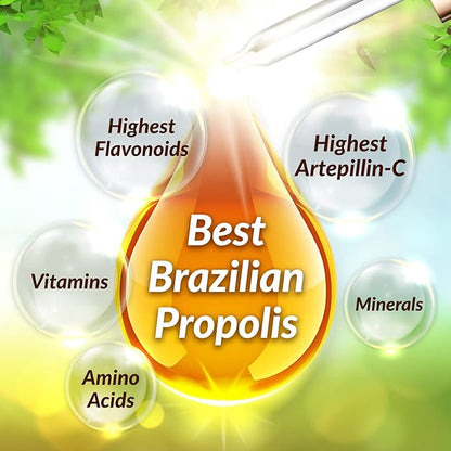 AFC Japan Brazilian Green Propolis Extract – Highest Artepilin C (>2.8% or >28mg/ml) & Flavonoids (>17mg/ml), Premium Quality, for Immune Booster, Tincture, Concentrated Liquid