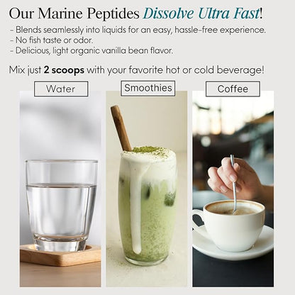 ENSANTE Premium Marine Collagen Peptides Powder Vanilla, Clinically Backed Type I II III IV Collagen, Wild Deep Sea Fish Collagen with Organic Camu Camu Vitamin C for Hair Skin Nail Joint, Lab Tested