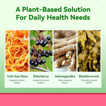 Irish Sea Moss Gummies with Ashwagandha, Elderberry, Apple Cider Vinegar, Bladderwrack, Burdock Root & Black Seed for Immune Support – Mixed Berry Flavor, 60 Count