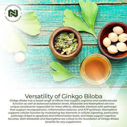 Nootropics Depot Ginkgo Biloba Extract Tablets | 120mg | 90 Count | Minimum 10% Kaempferol Glycoside + 2% Bilobalide | May Help Promote Cognitive & Cardiovascular Function