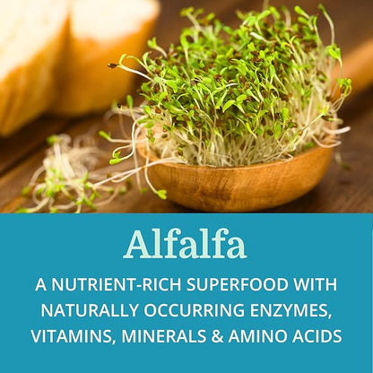 SuperDigest Best Process Alkaline — Multi-Enzyme Digestive Support — Digestive Enzymes with Alfalfa, Papain & Bromelain (Vegetarian Friendly)