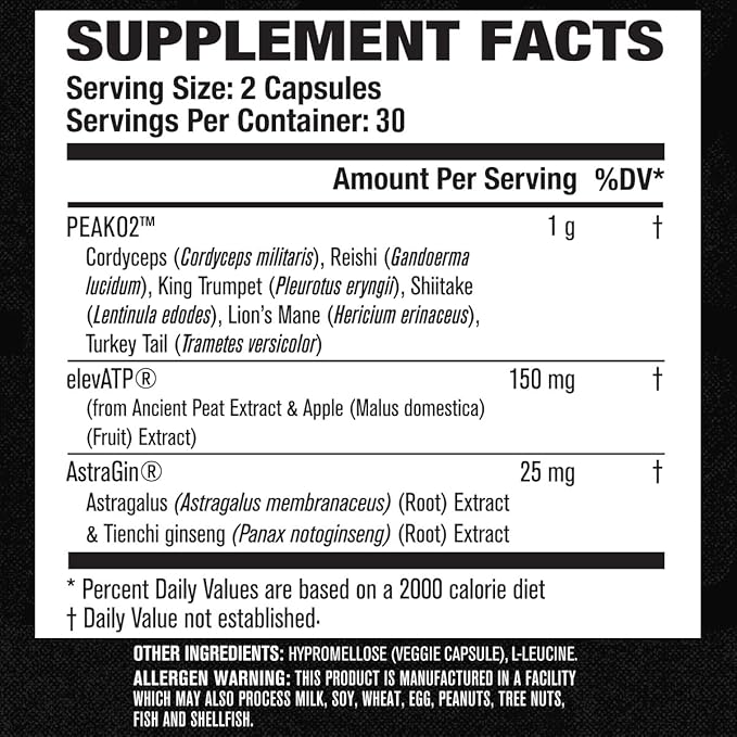 Jacked Factory Muscle Builder Supplement Stack - Build-XT Muscle Builder & N.O. XT Nitric Oxide Boosting Agent for Dual Support (30 Day Supply)
