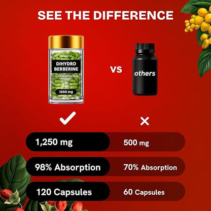 Dihydroberberine Supplement - Dehydro Berberine Organic - Super Berberine Supplement with Ceylon Cinnamon & R Alpha Lipoic Acid & Apigenin - Hydroberberine 120 caps (1 Pack)