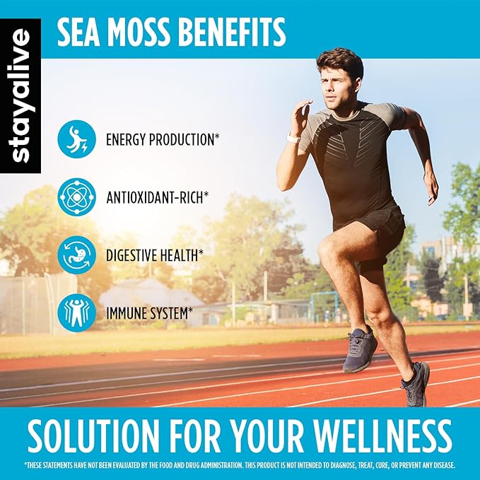 STAY ALIVE Irish Sea Moss Black Seed Oil Ashwagandha Ginger Burdock Root Bladderwrack Powder, 23-in-1 Advanced Supplement, 60 Vegan Pills, Non-GMO and Gluten-Free Sea Moss Extract Capsules
