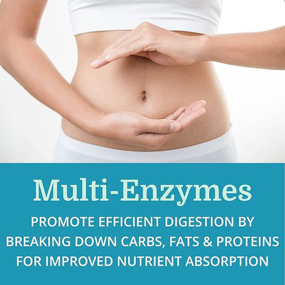 SuperDigest Best Process Alkaline — Multi-Enzyme Digestive Support — Digestive Enzymes with Alfalfa, Papain & Bromelain (Vegetarian Friendly)