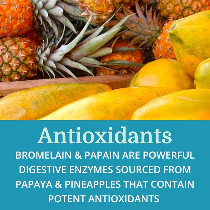 SuperDigest Best Process Alkaline — Multi-Enzyme Digestive Support — Digestive Enzymes with Alfalfa, Papain & Bromelain (Vegetarian Friendly)