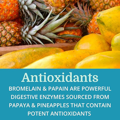 SuperDigest Best Process Alkaline — Multi-Enzyme Digestive Support — Digestive Enzymes with Alfalfa, Papain & Bromelain (Vegetarian Friendly)