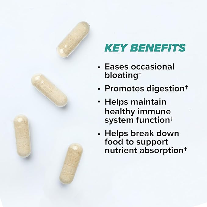 ONNIT Total Gut Health Daily Digestive Support, Complete Digestion Supplement for Women and Men with 7 Strains of Probiotics, Prebiotics, Enzymes and Betaine HCL, 120 Count