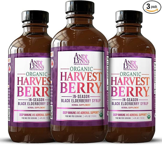 Andi Lynn's Organic Harvest Berry Syrup for Kids and Adults – Real Honey Elderberry Syrup for Immune Support - Therapeutic Formula - 4 Fl. Oz (Pack of 3)