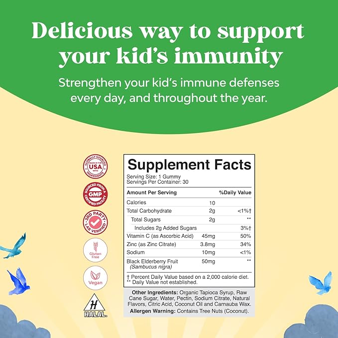 Natures Craft Kids Elderberry Gummies with Zinc and Vitamin C - Delicious Sambucus Black Elderberry Gummies for Kids Immune Support - Daily Immunity Support Vegan Non-GMO Gluten and Gelatin Free
