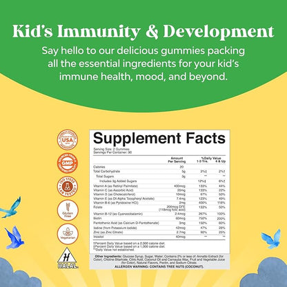 Plant Based Kids Multivitamin Gummies - Multivitamin for Kids Immunity Support Gummies with Vitamins A C D3 E B and Zinc Gelatin and Gluten Free Non-GMO Vitamins Gummy Formula 180ct