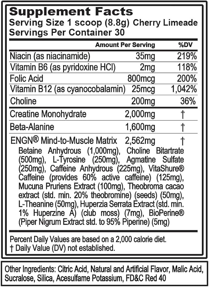 Evlution EVL Intense Pre Workout with Creatine - ENGN Energizing Pre Workout for Men Powder Drink for Lasting Energy Focus and Recovery - with Beta Alanine Caffeine and L Theanine - Cherry Limeade